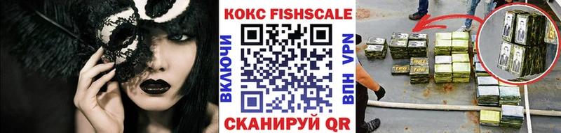 где купить наркотик  hydra   Cocaine Fish Scale  Долгопрудный 