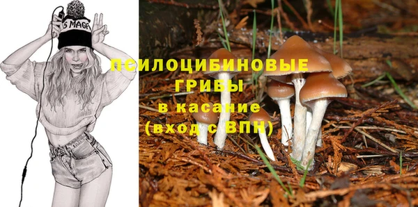 PSILOCYBIN Каменск-Шахтинский