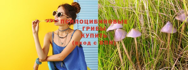 mdma Каменка