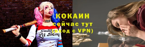 PSILOCYBIN Каменск-Шахтинский