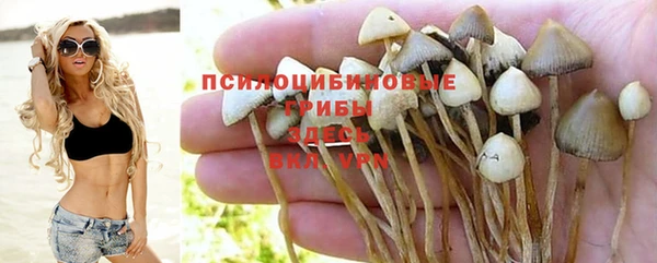 mdma Каменка
