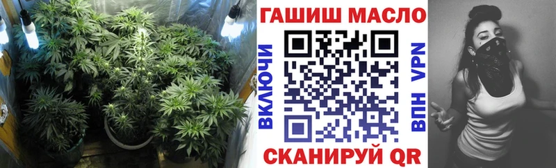 блэк спрут ссылки  Долгопрудный  Дистиллят ТГК концентрат  купить наркоту 