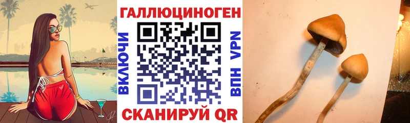где купить наркотик  площадка формула  Псилоцибиновые грибы прущие грибы  Долгопрудный 