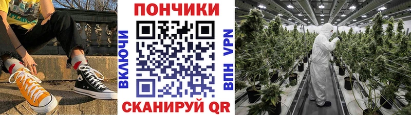 Конопля ГИДРОПОН  Долгопрудный 